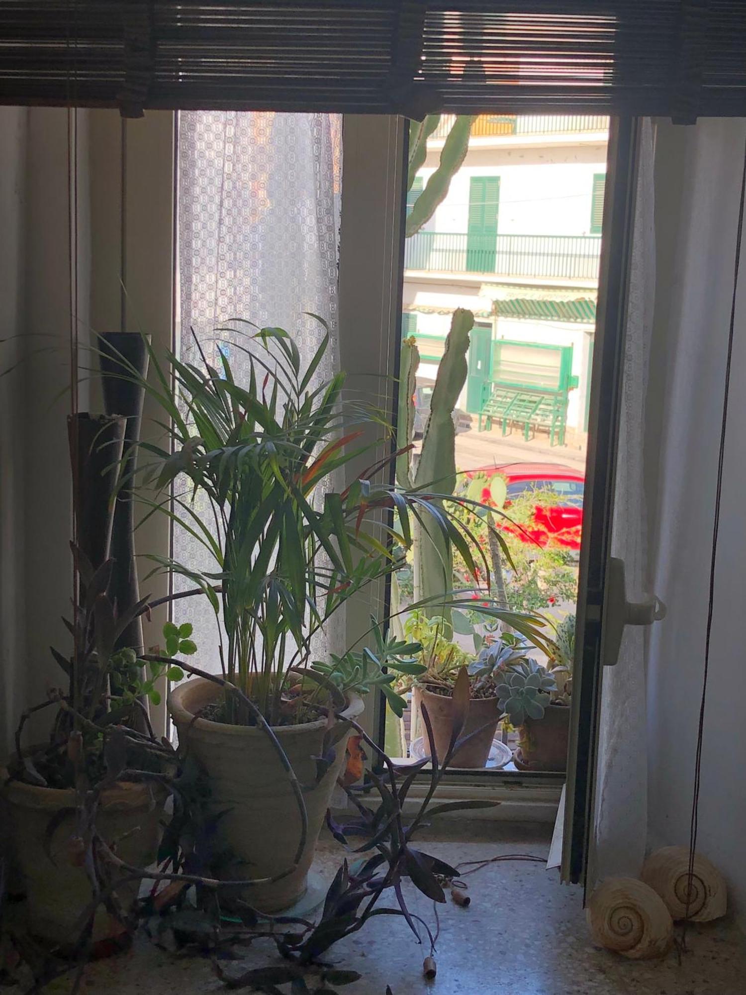Le Muse Casa Vacanze Scoglitti Cameră foto